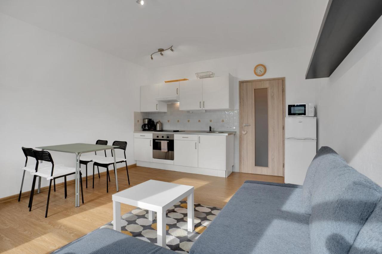 Horsky Apartman Klinovec 4 Loučná pod Klínovcem Buitenkant foto
